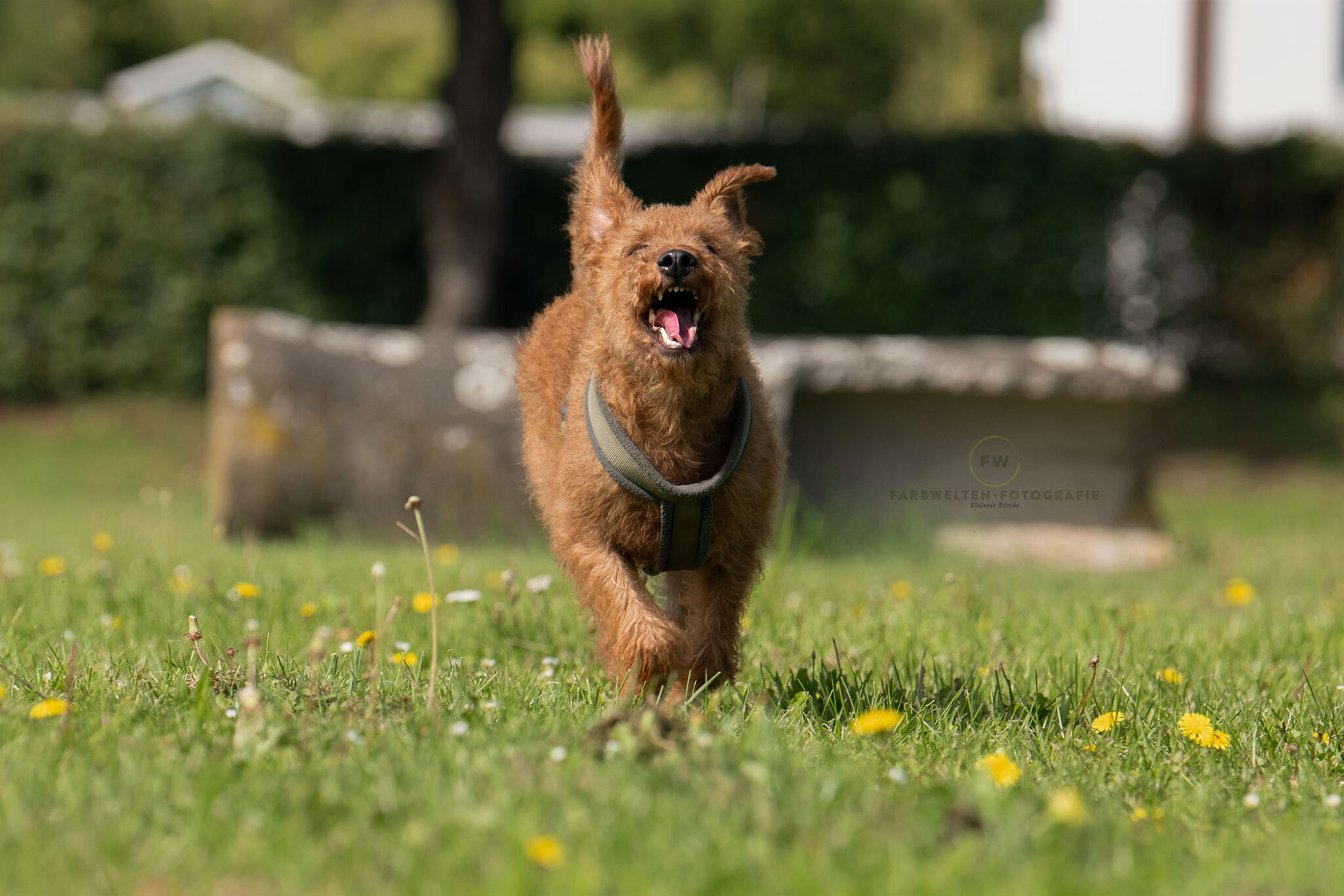 Reeva action Wiese 3 insta