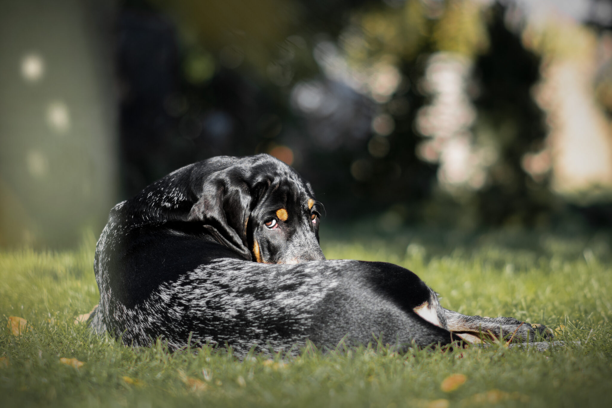 Inaya Eckengucker 1 Druck